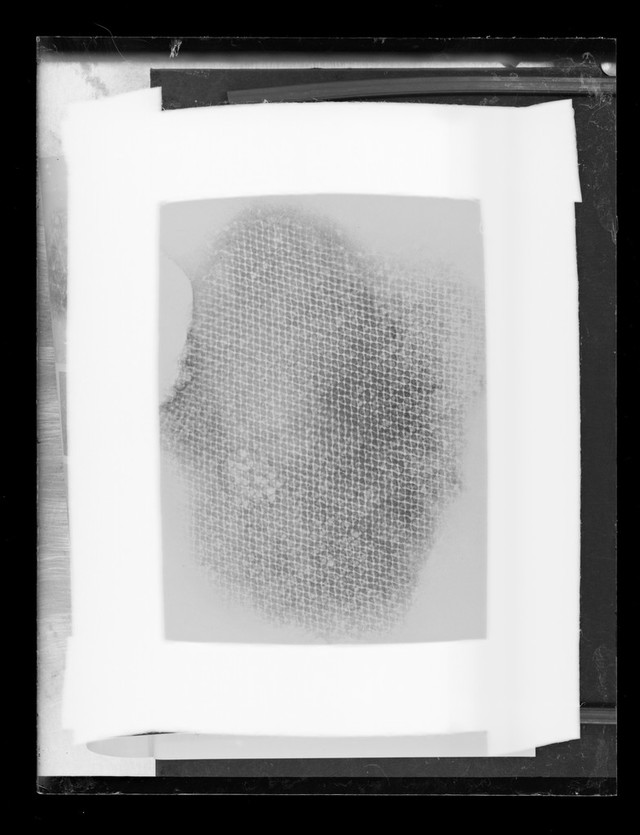 No text description is available for this image