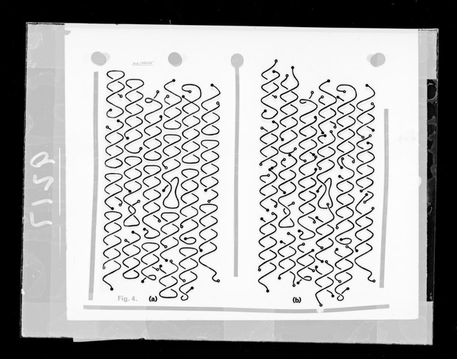 digitised image 3
