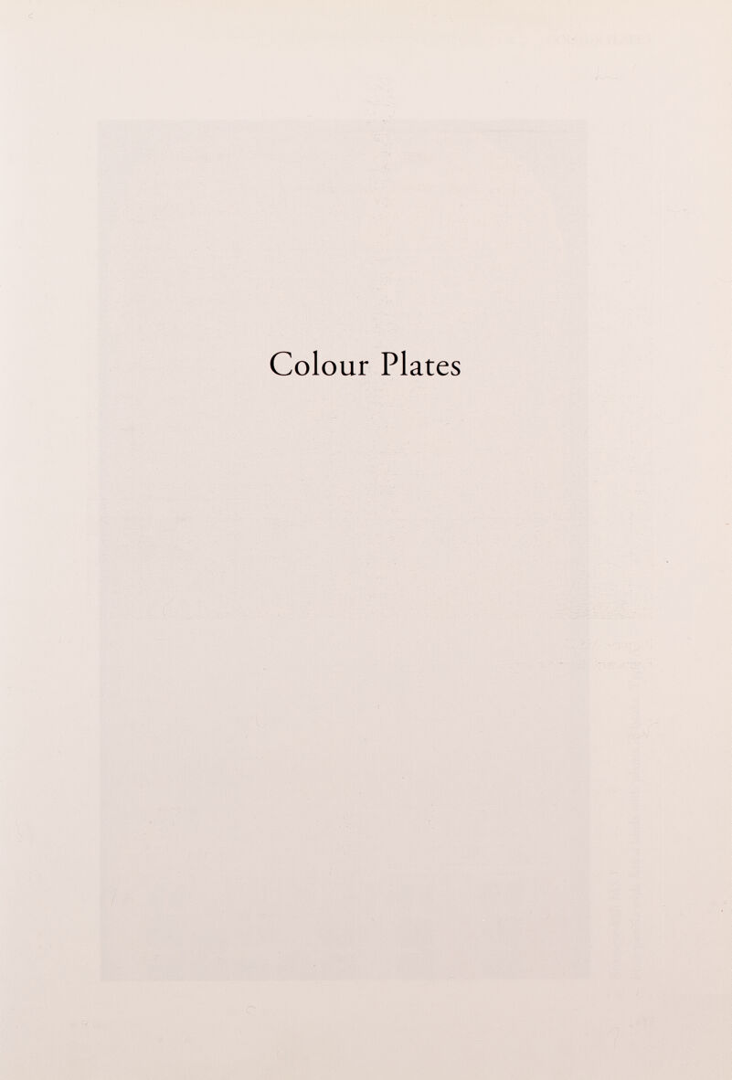 Colour Plates