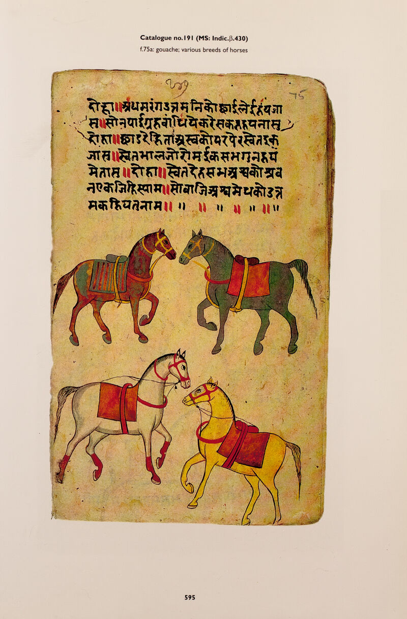 Catalogue no. 191 (MS: lndic .ß .430) f.75a: gouache; various breeds of horses Iry ■ ^aw itfrKîitëïrto wg^sra H || H (i ti H <i ' . • . ' - . ,'• O • ' • ' v ■ , .