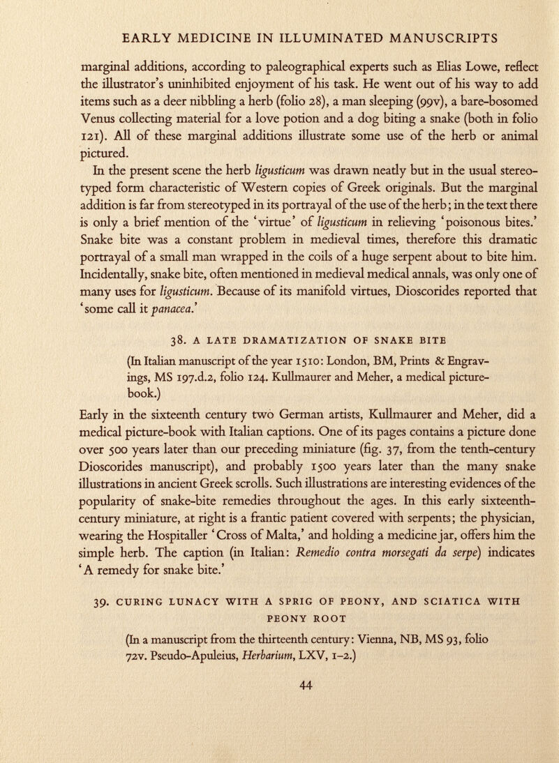 marginal additions, according to paleographical experts such as Elias Lowe, reflect the illustrator's uninhibited enjoyment of his task. He went out of his way to add items such as a deer nibbling a herb (folio 28), a man sleeping (99V), a bare-bosomed Venus collecting material for a love potion and a dog biting a snake (both in folio 121). All of these marginal additions illustrate some use of the herb or animal pictured. In the present scene the herb ligusticum was drawn neatly but in the usual stereo typed form characteristic of Western copies of Greek originals. But the marginal addition is far from stereotyped in its portrayal of the use of the herb ; in the text there is only a brief mention of the 'virtue' of ligusticum in relieving 'poisonous bites.' Snake bite was a constant problem in medieval times, therefore this dramatic portrayal of a small man wrapped in the coils of a huge serpent about to bite him. Incidentally, snake bite, often mentioned in medieval medical annals, was only one of many uses for ligusticum. Because of its manifold virtues, Dioscorides reported that 'some call it panacea.' 38. a late dramatization of snake bite (In Italian manuscript of the year 1510: London, BM, Prints & Engrav ings, MS i97.d.2, folio 124. Kullmaurer and Meher, a medical picture- book.) Early in the sixteenth century two German artists, Kullmaurer and Meher, did a medical picture-book with Italian captions. One of its pages contains a picture done over 500 years later than our preceding miniature (fig. 37, from the tenth-century Dioscorides manuscript), and probably 1500 years later than the many snake illustrations in ancient Greek scrolls. Such illustrations are interesting evidences of the popularity of snake-bite remedies throughout the ages. In this early sixteenth- century miniature, at right is a frantic patient covered with serpents; the physician, wearing the Hospitaller 'Cross of Malta,' and holding a medicine jar, offers him the simple herb. The caption (in Italian: Remedio contra morsegati da serpe) indicates ' A remedy for snake bite.' 39. curing lunacy with a sprig of peony, and sciatica with peony root (In a manuscript from the thirteenth century: Vienna, NB, MS 93, folio 72V. Pseudo-Apuleius, Herbarium, LXV, 1 -2.)
