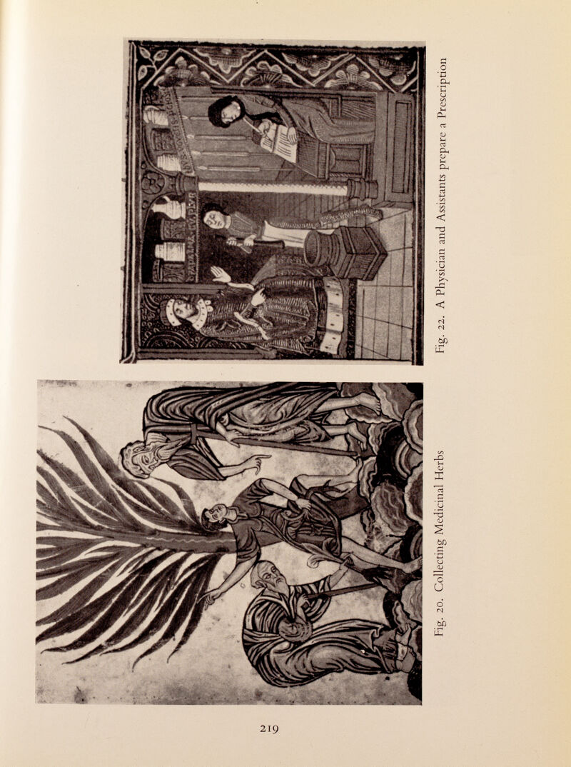 Fig. 20. Collecting Medicinal Herbs Fig. 22. A Physician and Assistants prepare a Prescription