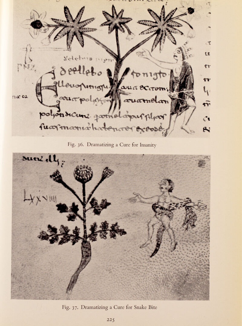 n<sr ca - ò&hlo ]ooií i, r Vuvb»\\ce<M e* Fig. 36. Dramatizing a Cure for Insanity «1 Fig. 37. Dramatizing a Cure for Snake Bite 225