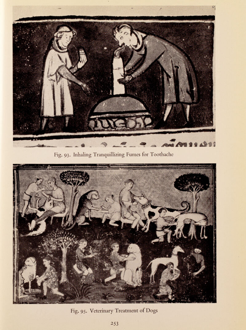 ¿•í Fig. 93. Inhaling Tranquillizing Fumes for Toothache Fig. 95. Veterinary Treatment of Dogs 253