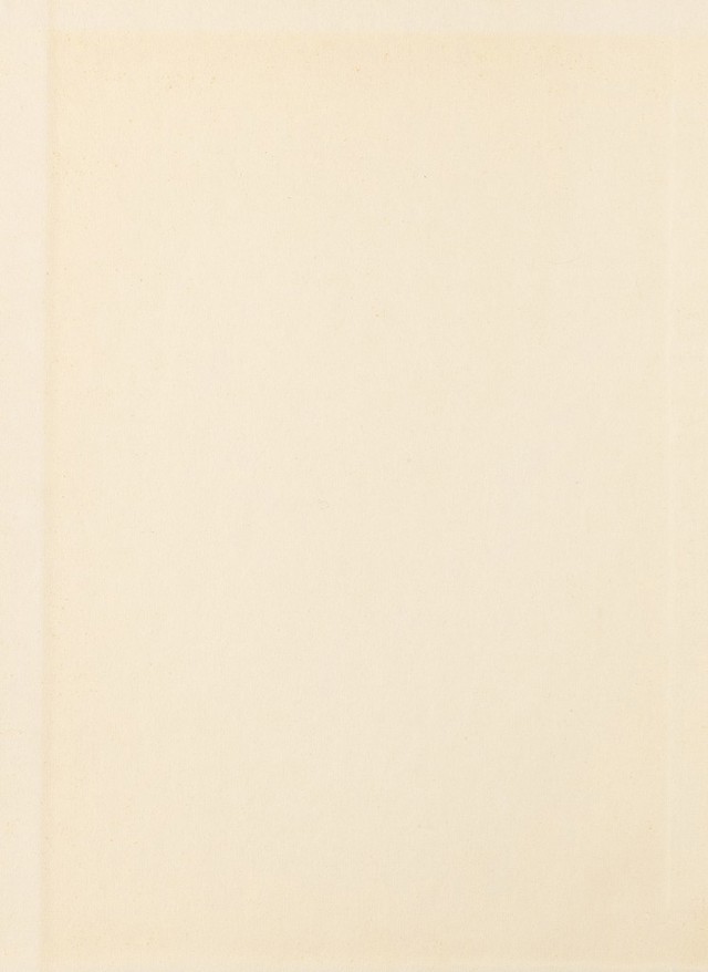 digitised image 2