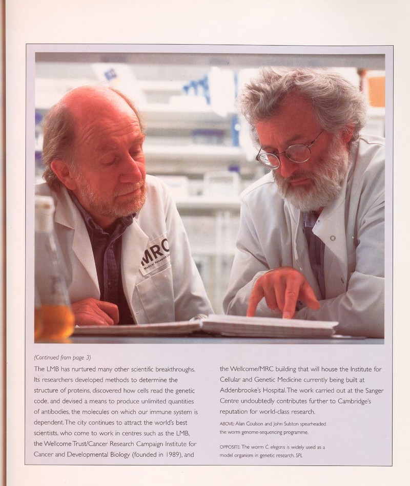 (Continued from page 3) The LMB has nurtured man/ other scientific breakthroughs. Its researchers developed methods to determine the structure of proteins, discovered how cells read the genetic code, and devised a means to produce unlimited quantities of antibodies, the molecules on which our immune system is dependent. The city continues to attract the world's best scientists, who come to work in centres such as the LMB, the Wellcome Trust/Cancer Research Campaign Institute for Cancer and Developmental Biology (founded in 1989), and the Wellcome/MRC building that will house the Institute for Cellular and Genetic Medicine currently being built at Addenbrooke's Hospital.The work carried out at the Sanger Centre undoubtedly contributes further to Cambridge's reputation for world-class research. ABOVE: Alan Coulson and John Sulston spearheaded the worm genome-sequencing programme. OPPOSITE: The worm C. elegans is widely used as a model organism in genetic research. SPL