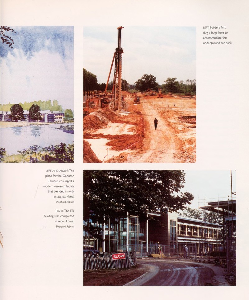 LEFT: Builders first dug a huge hole to accommodate the underground car park. LEFT AND ABOVE: The plans for the Genome Campus envisaged a modern research facility that blended in with estate parkland. Sheppard Robson RIGHT: The EBI building was completed in record time. Sheppard Robson