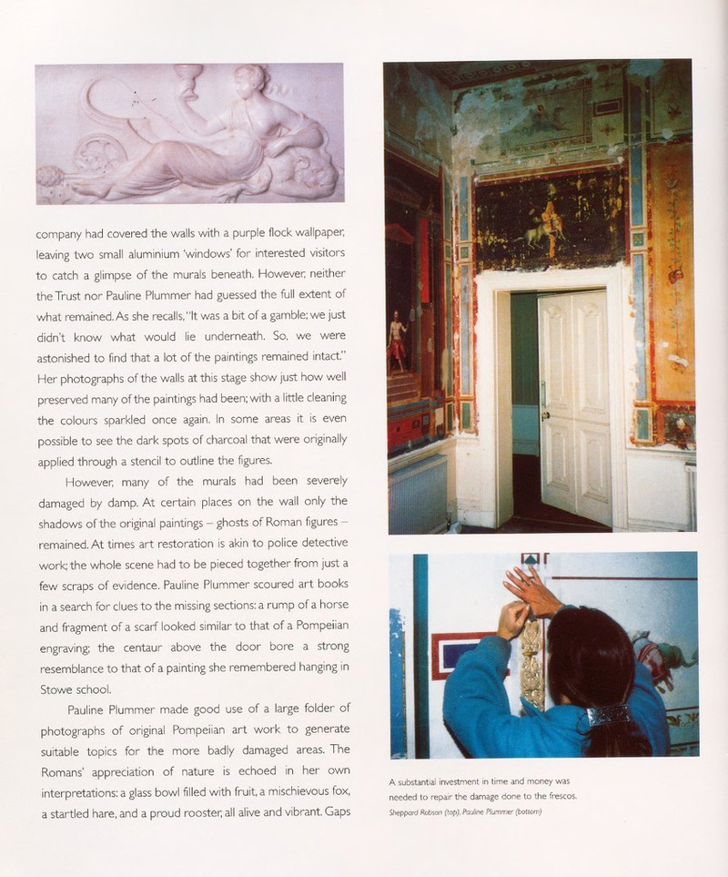 f ) company had covered the walls with a purple flock wallpaper; leaving two small aluminium 'windows' for interested visitors to catch a glimpse of the murals beneath. However; neither the Trust nor Pauline Plummer had guessed the full extent of what remained. As she recalls, It was a bit of a gamble; we just didn't know what would lie underneath. So, we were astonished to find that a lot of the paintings remained intact. Her photographs of the walls at this stage show just how well preserved many of the paintings had been; with a little cleaning the colours sparkled once again. In some areas it is even possible to see the dark spots of charcoal that were originally applied through a stencil to outline the figures. However, many of the murals had been severely damaged by damp. At certain places on the wall only the shadows of the original paintings - ghosts of Roman figures - remained. At times art restoration is akin to police detective work; the whole scene had to be pieced together from just a few scraps of evidence. Pauline Plummer scoured art books in a search for clues to the missing sections: a rump of a horse and fragment of a scarf looked similar to that of a Pompeiian engraving; the centaur above the door bore a strong resemblance to that of a painting she remembered hanging in Stowe school. Pauline Plummer made good use of a large folder of photographs of original Pompeiian art work to generate suitable topics for the more badly damaged areas. The Romans' appreciation of nature is echoed in her own interpretations: a glass bowl filled with fruit, a mischievous fox, a startled hare, and a proud rooster; all alive and vibrant. Gaps A substantial investment in time and money was needed to repair the damage done to the frescos. Sheppard Robson (top), Pauline Plummer (bottom)