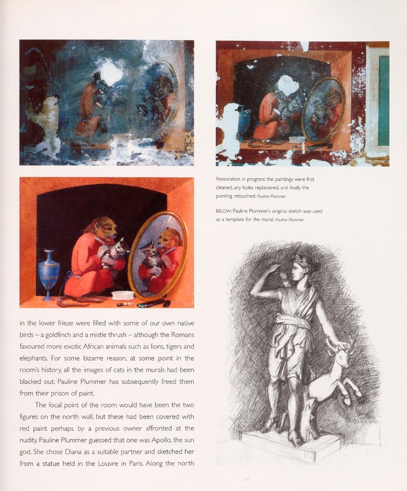 in the lower frieze were filled with some of our own native birds - a goldfinch and a rnistle thrush - although the Romans favoured more exotic African animals such as lions, tigers and elephants. For some bizarre reason, at some point in the room's history, all the images of cats in the murals had been blacked out; Pauline Plummer has subsequently freed them from their prison of paint. The focal point of the room would have been the two figures on the north wall, but these had been covered with red paint perhaps by a previous owner affronted at the nudity. Pauline Plummer guessed that one was Apollo, the sun god. She chose Diana as a suitable partner and sketched her from a statue held in the Louvre in Paris. Along the north Restoration in progress: the paintings were first cleaned, any holes replastered, and finally the painting retouched. Pauline Plummer BELOW: Pauline Plummers original sketch was used as a template for the mural. Pauline Plummer