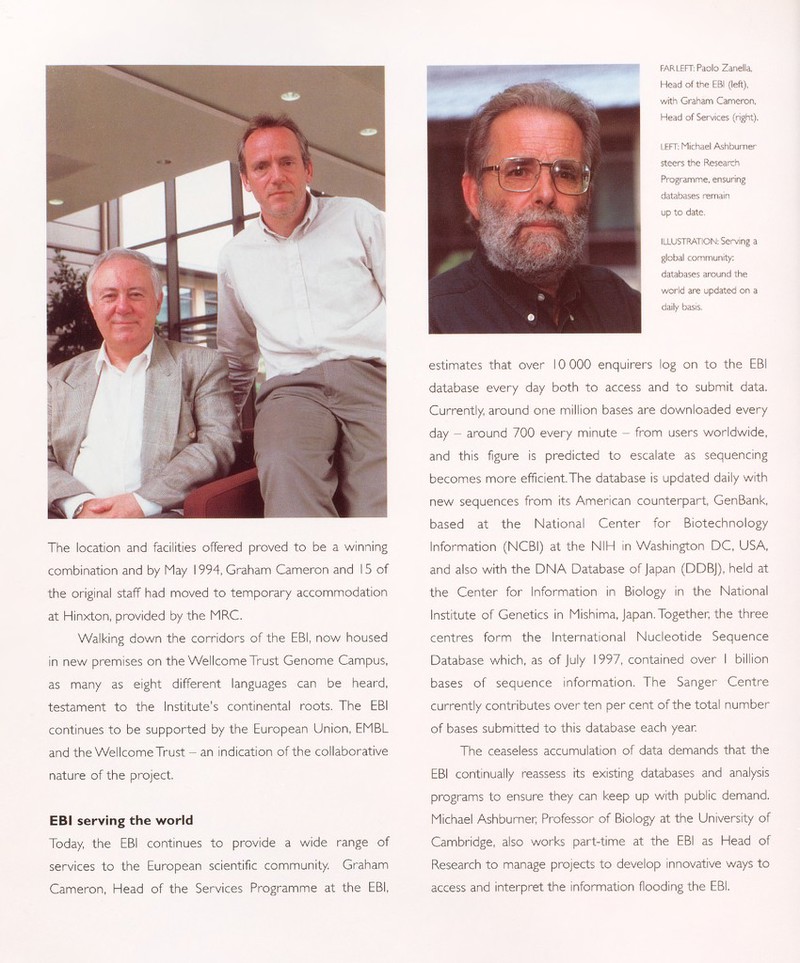 The location and facilities offered proved to be a winning combination and by May 1994, Graham Cameron and 15 of the original staff had moved to temporary accommodation at Hinxton, provided by the MRC. Walking down the corridors of the EBI, now housed in new premises on the Wellcome Trust Genome Campus, as many as eight different languages can be heard, testament to the Institute's continental roots. The EBI continues to be supported by the European Union, EMBL and the WellcomeTrust - an indication of the collaborative nature of the project. EBI serving the world Today, the EBI continues to provide a wide range of services to the European scientific community. Graham Cameron, Head of the Services Programme at the EBI, FAR LEFT: Paolo Zanella, Head of the EBI (left), with Graham Cameron, Head of Services (right). LEFT: Michael Ashburner steers the Research Programme, ensuring databases remain up to date, ILLUSTRATION: Serving a global community: databases around the world are updated on a daily basis. estimates that over 10 000 enquirers log on to the EBI database every day both to access and to submit data. Currently, around one million bases are downloaded every day - around 700 every minute - from users worldwide, and this figure is predicted to escalate as sequencing becomes more efficient.The database is updated daily with new sequences from its American counterpart, GenBank, based at the National Center for Biotechnology Information (NCBI) at the NIH in Washington DC, USA, and also with the DNA Database of Japan (DDBJ), held at the Center for Information in Biology in the National Institute of Genetics in Mishima, Japan.Together, the three centres form the International Nucleotide Sequence Database which, as of July 1997, contained over I billion bases of sequence information. The Sanger Centre currently contributes over ten per cent of the total number of bases submitted to this database each year. The ceaseless accumulation of data demands that the EBI continually reassess its existing databases and analysis programs to ensure they can keep up with public demand. Michael Ashburner; Professor of Biology at the University of Cambridge, also works part-time at the EBI as Head of Research to manage projects to develop innovative ways to access and interpret the information flooding the EBI.