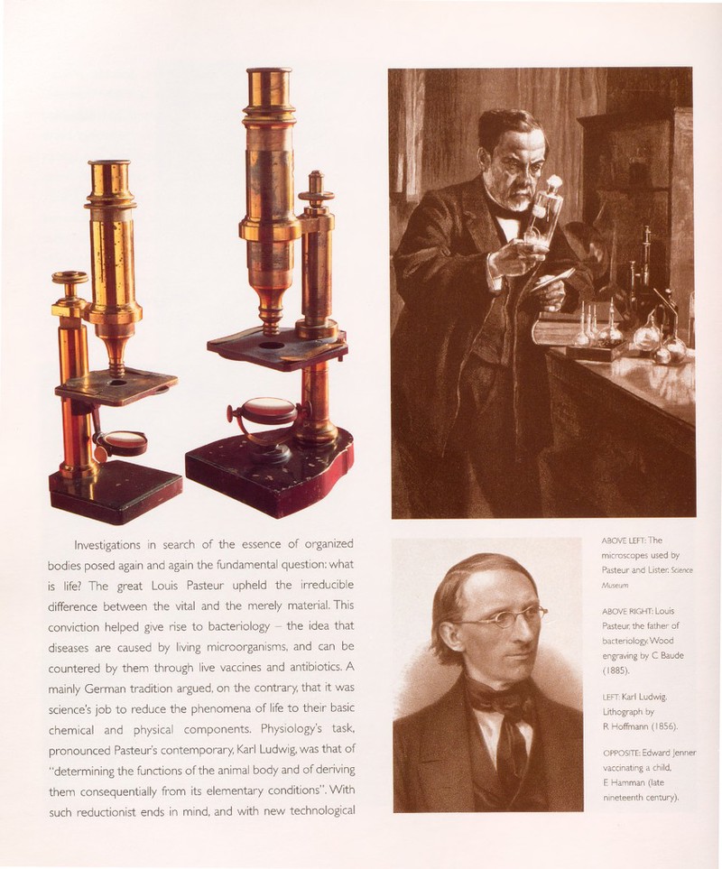 Investigations in search of the essence of organized bodies posed again and again the fundamental question: what is life? The great Louis Pasteur upheld the irreducible difference between the vital and the merely material, This conviction helped give rise to bacteriology - the idea that diseases are caused by living microorganisms, and can be countered by them through live vaccines and antibiotics. A mainly German tradition argued, on the contrary, that it was science's job to reduce the phenomena of life to their basic chemical and physical components. Physiology's task, pronounced Pasteur's contemporary, Karl Ludwig, was that of determining the functions of the animal body and of deriving them consequentially from its elementary conditions. With such reductionist ends in mind, and with new technological ABOVE LEFT: The microscopes used by Pasteur and Lister; Science Museum ABOVE RIGHT: Louis Pasteur; the father of bacteriology. Wood engraving by C Baude (1885). LEFT: Karl Ludwig. Lithograph by R Hoffmann ( 1856). OPPOSITE: Edward Jenner vaccinating a child, E Hamman (late nineteenth century).