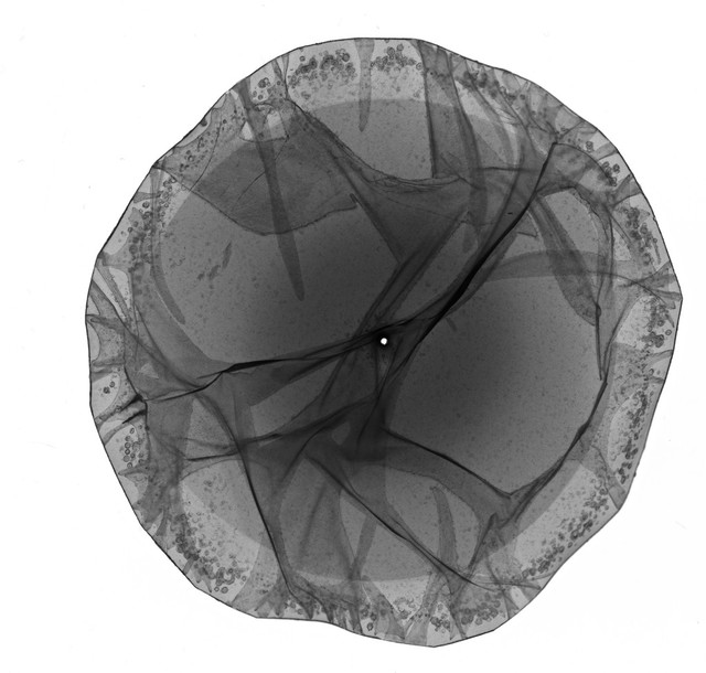 No text description is available for this image