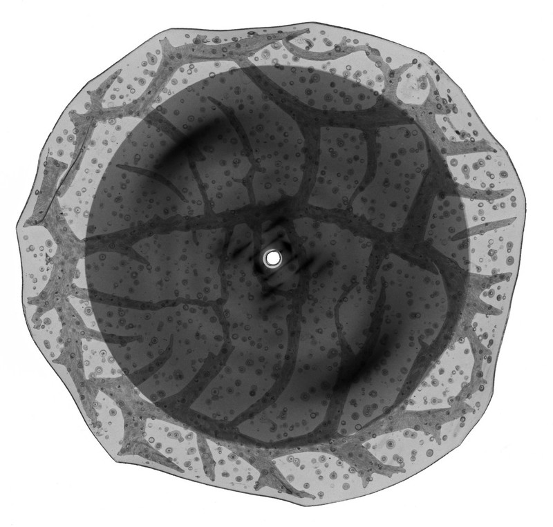 No text description is available for this image