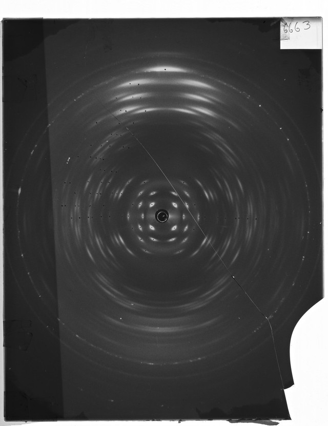 digitised image 2
