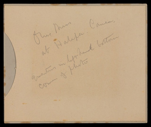 digitised image 2