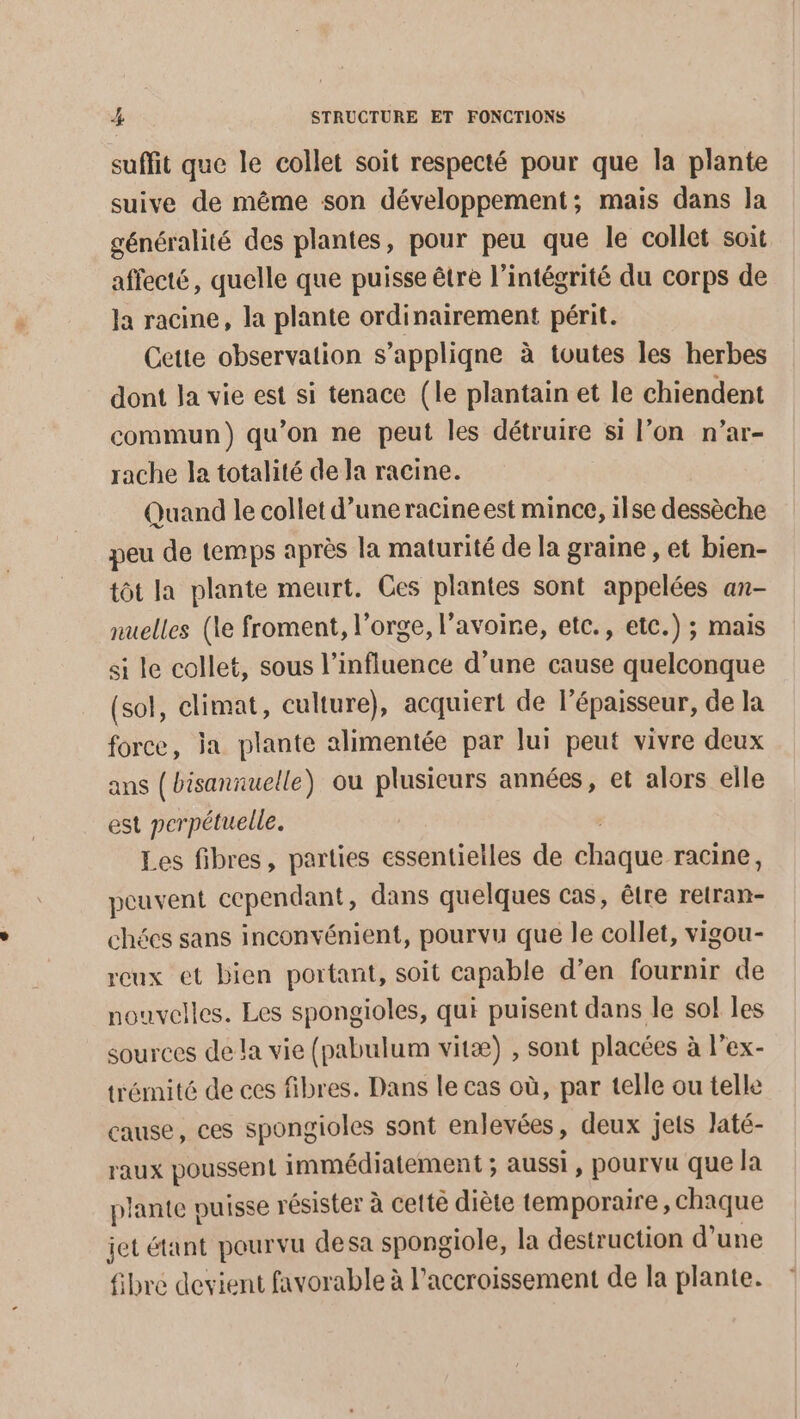 suffit que le collet soit respecté pour que la plante suive de même son développement; mais dans la généralité des plantes, pour peu que le collet soit afecté, quelle que puisse être l’intégrité du corps de Ja racine, la plante ordinairement périt. Cette observation s’appliqne à toutes les herbes dont Ja vie est si tenace (le plantain et le chiendent commun) qu’on ne peut les détruire si l’on n’ar- rache la totalité de la racine. Quand le collet d’uneracineest mince, ilse dessèche peu de temps après la maturité de la graine , et bien- tot la plante meurt. Ces plantes sont appelées an- nuelles (le froment, l'orge, l’avoine, etc., etc.) ; mais si le collet, sous l'influence d’une cause quelconque (sol, climat, culture), acquiert de lépaisseur, de la force, ja plante alimentée par lui peut vivre deux ans (bisannuelle) ou plusieurs années, et alors elle est perpétuelle. | Les fibres, parties essentielles de chaque racine, peuvent cependant, dans quelques cas, être retran- chées sans inconvénient, pourvu que le collet, vigou- reux et bien portant, soit capable d’en fournir de nouvelles. Les spongioles, qui puisent dans le sol les sources de la vie (pabulum vitæ) , sont placées à l'ex- trémité de ces fibres. Dans le cas où, par telle ou telle cause, ces spongioles sont enlevées, deux jets Jaté- raux poussent immédiatement ; aussi, pourvu que la plante puisse résister à cetté diète temporaire, chaque jet étant pourvu desa spongiole, la destruction d’une fibre devient favorable à l'accroissement de la plante.