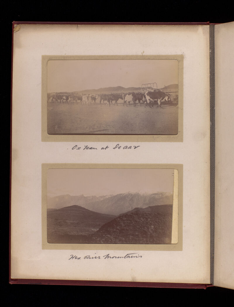 No text description is available for this image