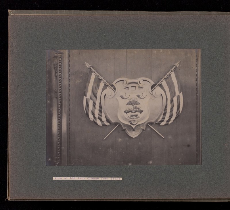 No text description is available for this image