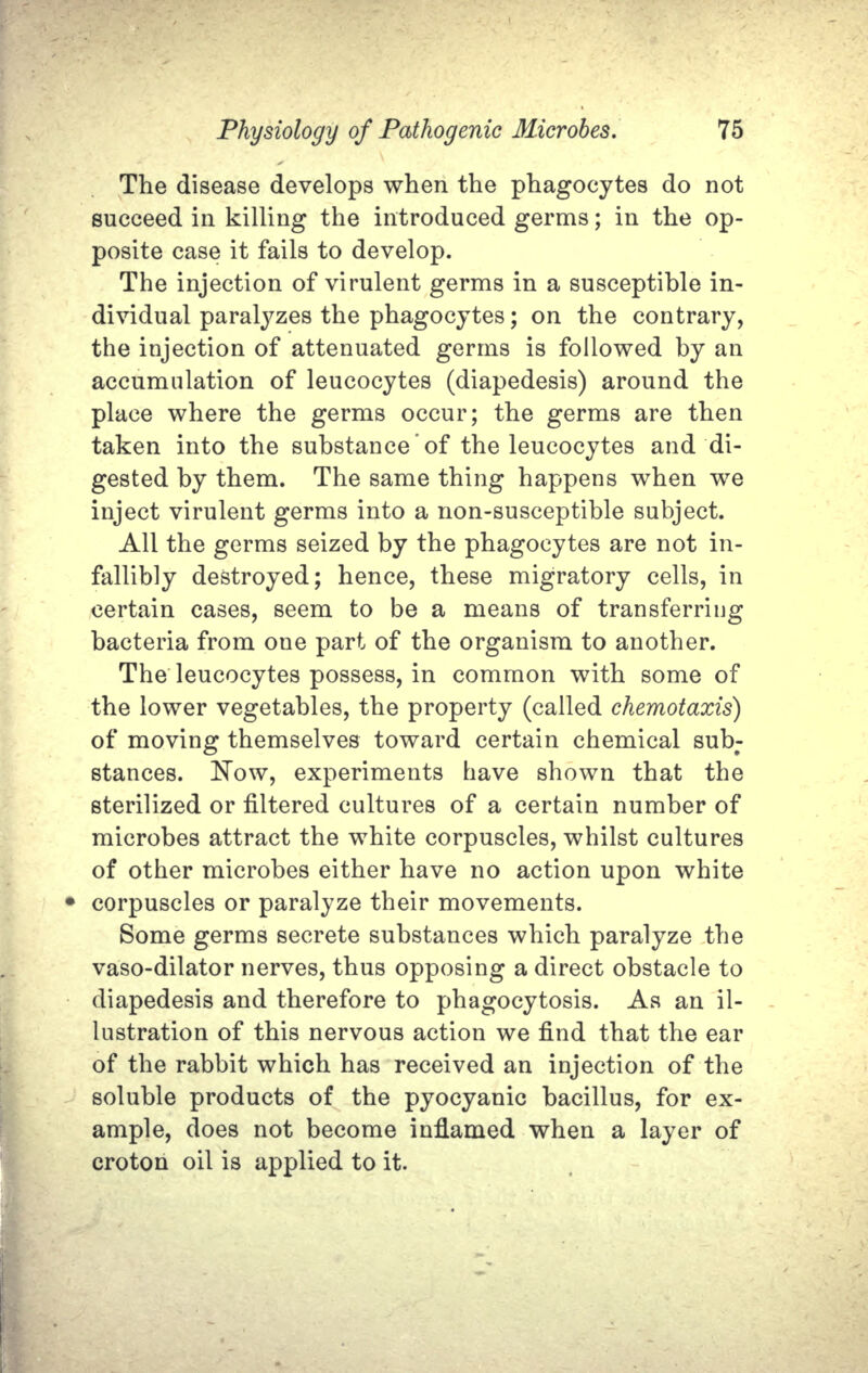 The disease develops when the phagocytes do not succeed in killing the introduced germs; in the op- posite case it fails to develop. The injection of virulent germs in a susceptible in- dividual paratyzes the phagocytes; on the contrary, the injection of attenuated germs is followed by an accumulation of leucocytes (diapedesis) around the place where the germs occur; the germs are then taken into the substance'of the leucocytes and di- gested by them. The same thing happens when we inject virulent germs into a non-susceptible subject. All the germs seized by the phagocytes are not in- fallibly destroyed; hence, these migratory cells, in certain cases, seem to be a means of transferring bacteria from one part of the organism to another. The leucocytes possess, in common with some of the lower vegetables, the property (called chemotaxis) of moving themselves toward certain chemical sub; stances. Now, experiments have shown that the sterilized or filtered cultures of a certain number of microbes attract the white corpuscles, whilst cultures of other microbes either have no action upon white corpuscles or paralyze their movements. Some germs secrete substances which paralyze the vaso-dilator nerves, thus opposing a direct obstacle to diapedesis and therefore to phagocytosis. As an il- lustration of this nervous action we find that the ear of the rabbit which has received an injection of the soluble products of the pyocyanic bacillus, for ex- ample, does not become inflamed when a layer of croton oil is applied to it.