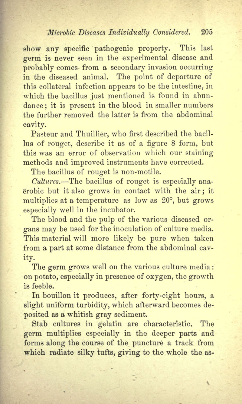 show any specific pathogenic property. This last germ is never seen in the experimental disease and probably comes from a secondary invasion occurring in the diseased animal. The point of departure of this collateral infection appears to be the intestine, in which the bacillus just mentioned is found in abun- dance; it is present in the blood in smaller numbers the further removed the latter is from the abdominal cavity. Pasteur and Thuillier, who first described the bacil- lus of rouget, describe it as of a figure 8 form, but this was an error of observation which our staining methods and improved instruments have corrected. The bacillus of rouget is non-motile. Cultures.—The bacillus of rouget is especially ana- erobic but it also grows in contact with the air; it multiplies at a temperature as low as 20°, but grows especially well in the incubator. The blood and the pulp of the various diseased or- gans may be used for the inoculation of culture media. This material will more likely be pure when taken from a part at some distance from the abdominal cav- ity- The germ grows well on the various culture media: on potato, especially in presence of oxygen, the growth is feeble. In bouillon it produces, after forty-eight hours, a slight uniform turbidity, which afterward becomes de- posited as a whitish gray sediment. Stab cultures in gelatin are characteristic. The germ multiplies especially in tho deeper parts and forms along the course of the puncture a track from which radiate silky tufts, giving to the whole the as-