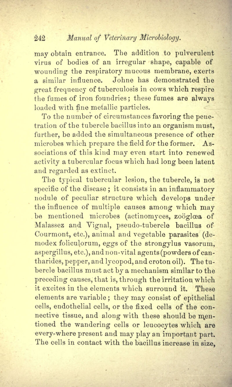 may obtain entrance. The addition to pulverulent virus of bodies of an irregular shape, capable of wounding the respiratory mucous membrane, exerts a similar influence. Johne has demonstrated the great frequency of tuberculosis in cows which respire the fumes of iron foundries; these fumes are always loaded with fine metallic particles. To the number of circumstances favoring the pene- tration of the tubercle bacillus into an organism must, further, be added the simultaneous presence of other microbes which prepare the field for the former. As- sociations of this kind may even start into renewed activity a tubercular focus which had long been latent and regarded as extinct. The typical tubercular lesion, the tubercle, is not specific of the disease ; it consists in an inflammatory nodule of peculiar structure which develops under the influence of multiple causes among which may be mentioned microbes (actinomyces, zoogloea of Malassez and Yignal, pseudo-tubercle bacillus of Courmont, etc.), animal and vegetable parasites (de- rnodex foliculorum, eggs of the strongylus vasorum, aspergillus, etc.), and non-vital agents (powders of can- tharides, pepper, and lycopod, and croton oil). The tu- bercle bacillus must act by a mechanism similar to the preceding causes, that is, through the irritation which it excites in the elements which surround it. These elements are variable; they may consist of epithelial cells, endothelial cells, or the fixed cells of the con- nective tissue, and along with these should be n\en- tioned the wandering cells or leucocytes which are every-where present and may play an important part. The cells in contact with the bacillus increase in size,