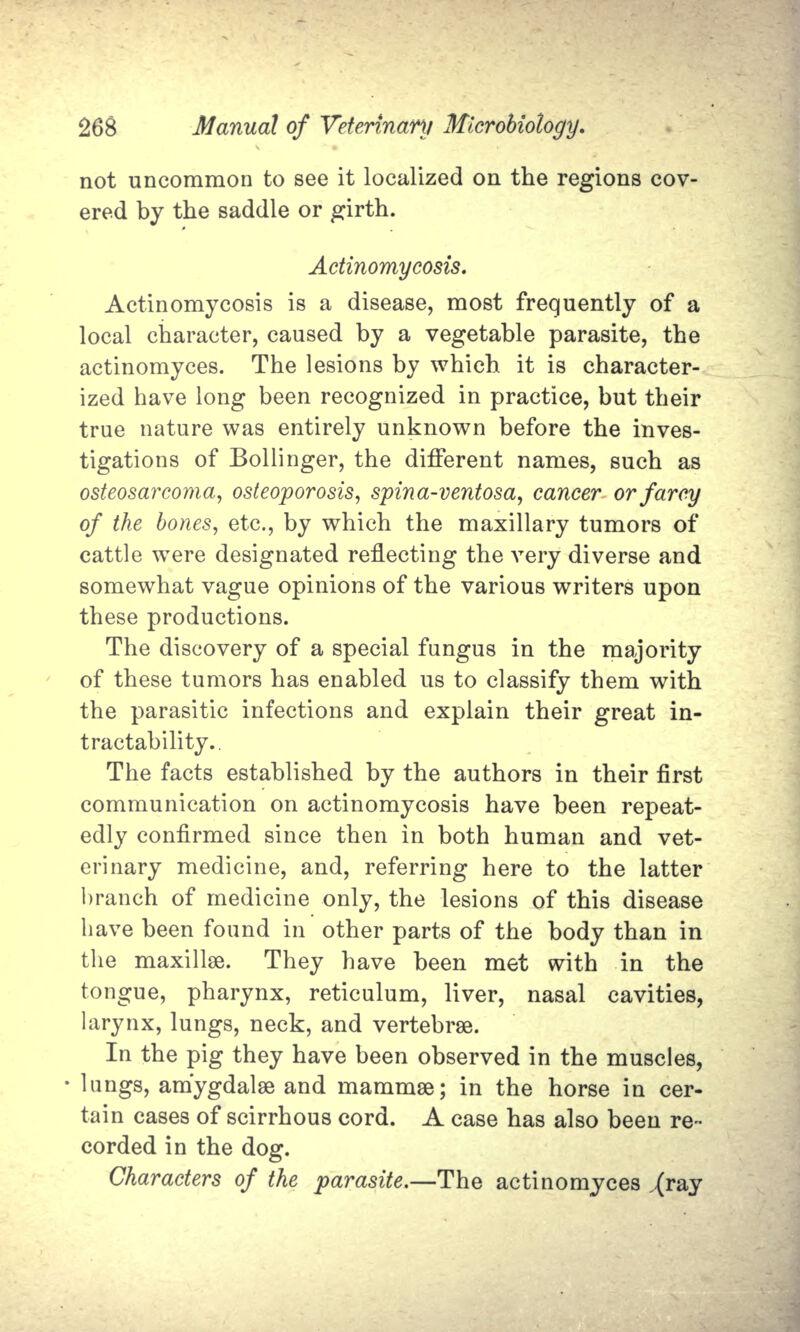 not uncommon to see it localized on the regions cov- ered by the saddle or girth. Actinomycosis. Actinomycosis is a disease, most frequently of a local character, caused by a vegetable parasite, the actinomyces. The lesions by which it is character- ized have long been recognized in practice, but their true nature was entirely unknown before the inves- tigations of Bellinger, the different names, such as osteosarcoma, osteoporosis, spina-ventosa, cancer or farcy of the bones, etc., by which the maxillary tumors of cattle were designated reflecting the very diverse and somewhat vague opinions of the various writers upon these productions. The discovery of a special fungus in the majority of these tumors has enabled us to classify them with the parasitic infections and explain their great in- tractability.. The facts established by the authors in their first communication on actinomycosis have been repeat- edly confirmed since then in both human and vet- erinary medicine, and, referring here to the latter branch of medicine only, the lesions of this disease have been found in other parts of the body than in the maxillae. They have been met with in the tongue, pharynx, reticulum, liver, nasal cavities, larynx, lungs, neck, and vertebrae. In the pig they have been observed in the muscles, lungs, amygdalae and mammae; in the horse in cer- tain cases of scirrhous cord. A case has also been re- corded in the dog. Characters of the parasite.—The actinomyces