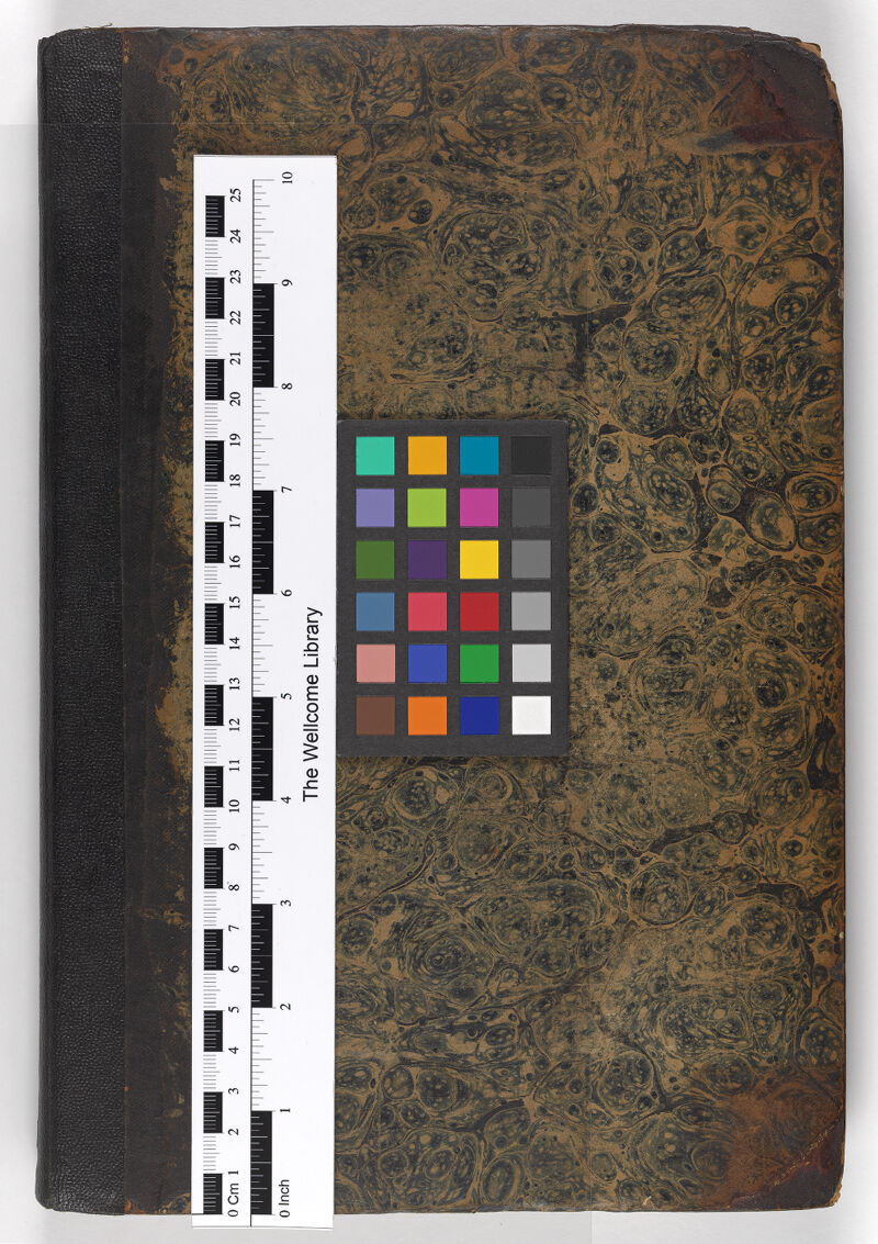 No text description is available for this image