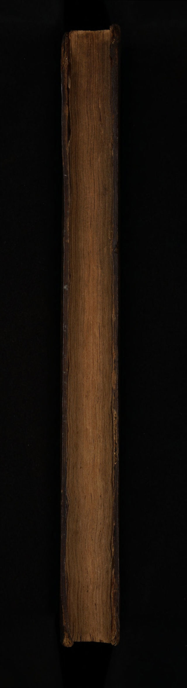 digitised image 3