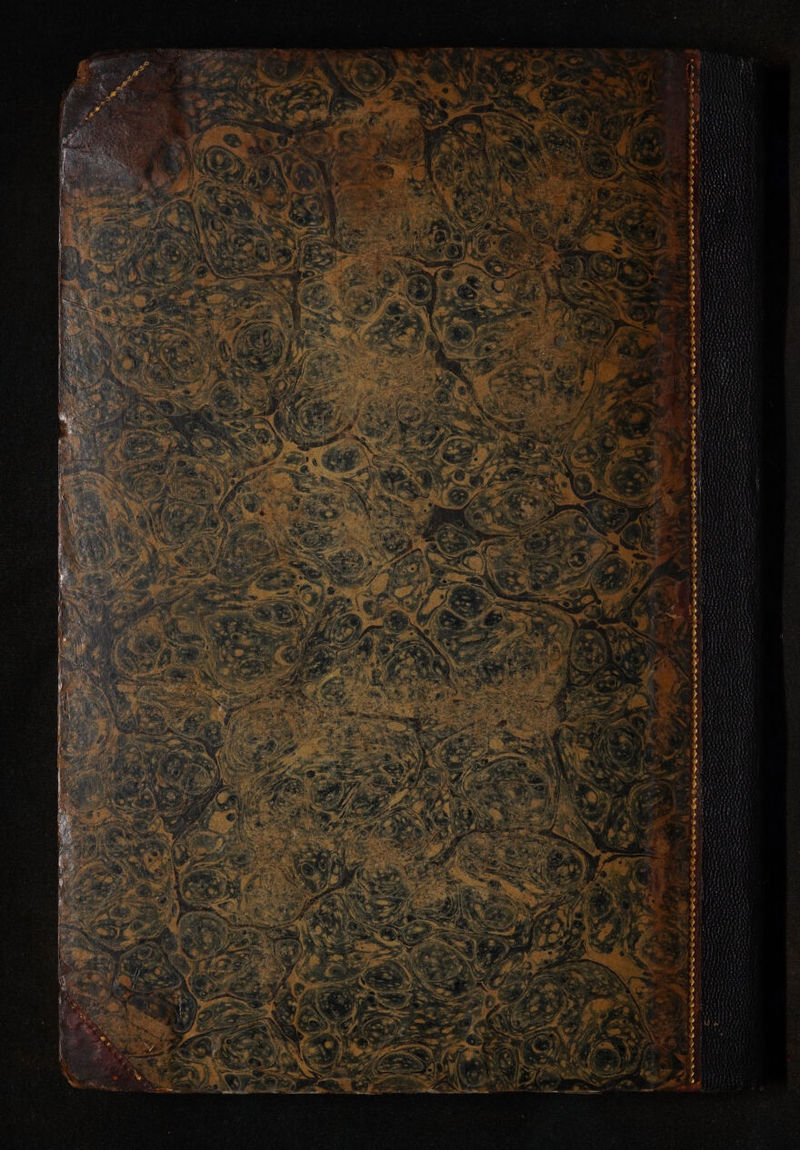 No text description is available for this image