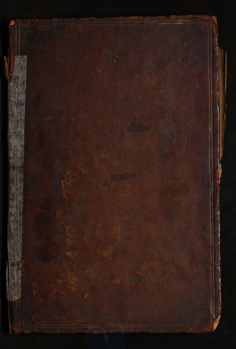 No text description is available for this image