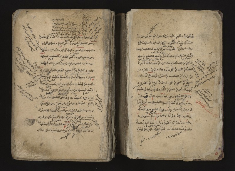 No text description is available for this image