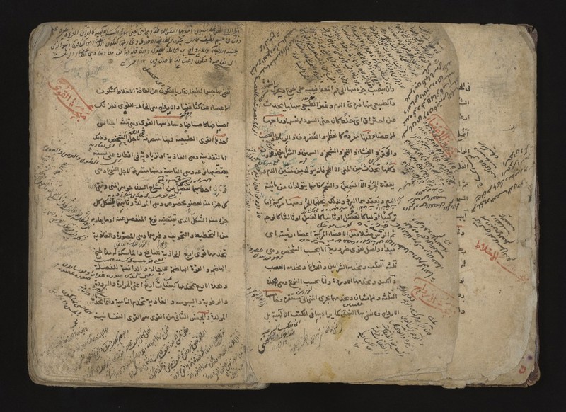 No text description is available for this image