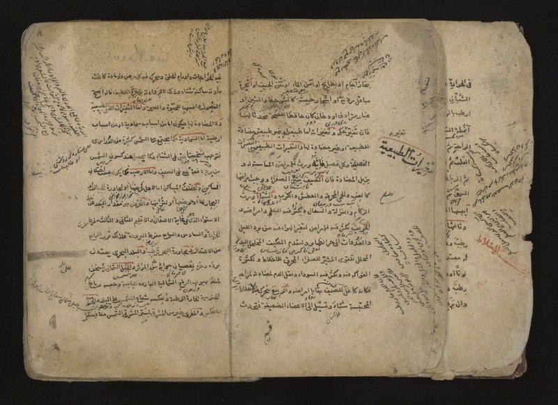 No text description is available for this image