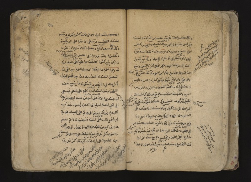 No text description is available for this image