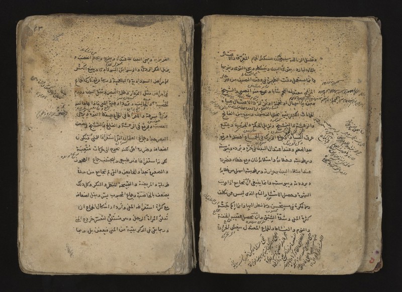 No text description is available for this image