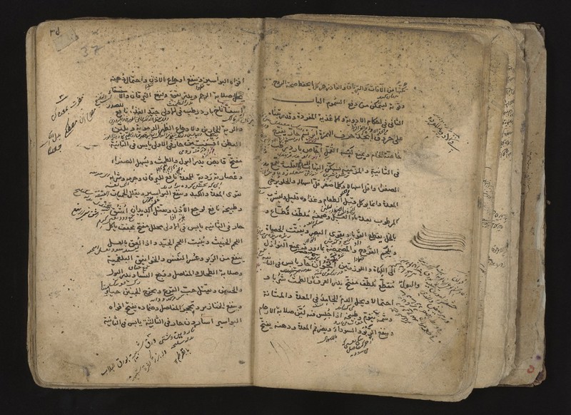 No text description is available for this image