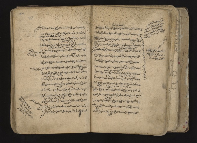 No text description is available for this image