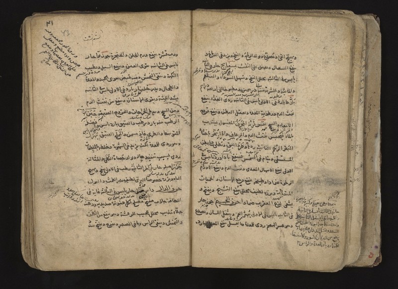 No text description is available for this image