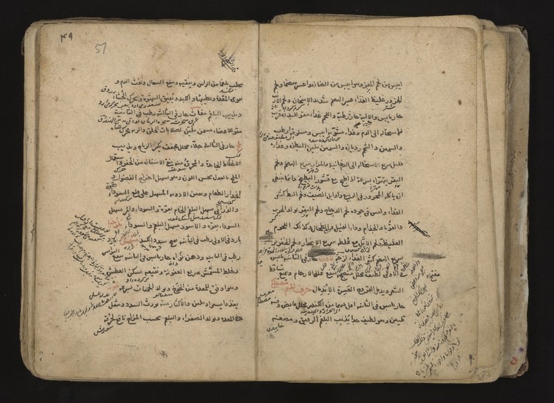 No text description is available for this image