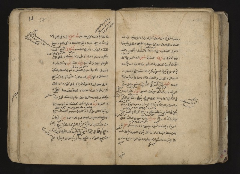 No text description is available for this image