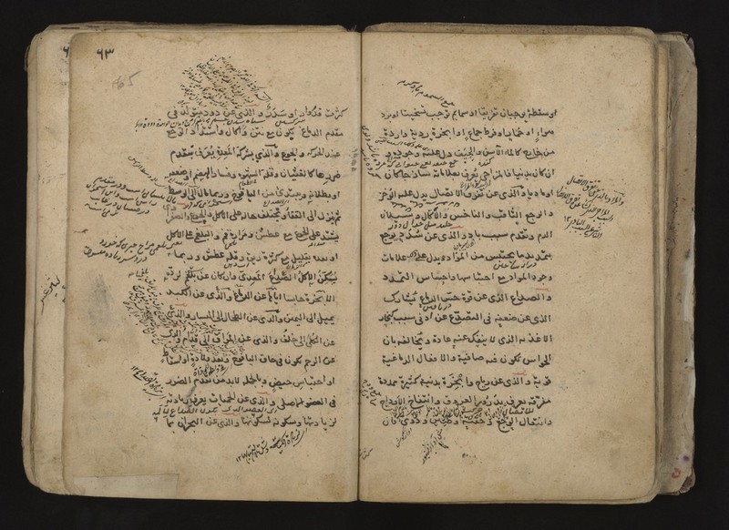 No text description is available for this image