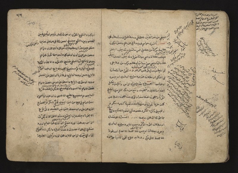 No text description is available for this image