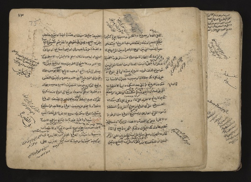 No text description is available for this image