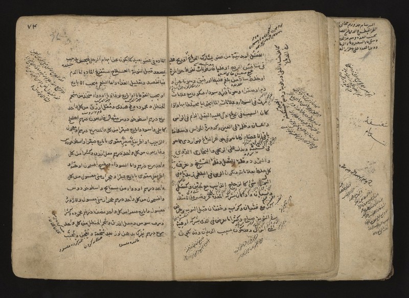 No text description is available for this image