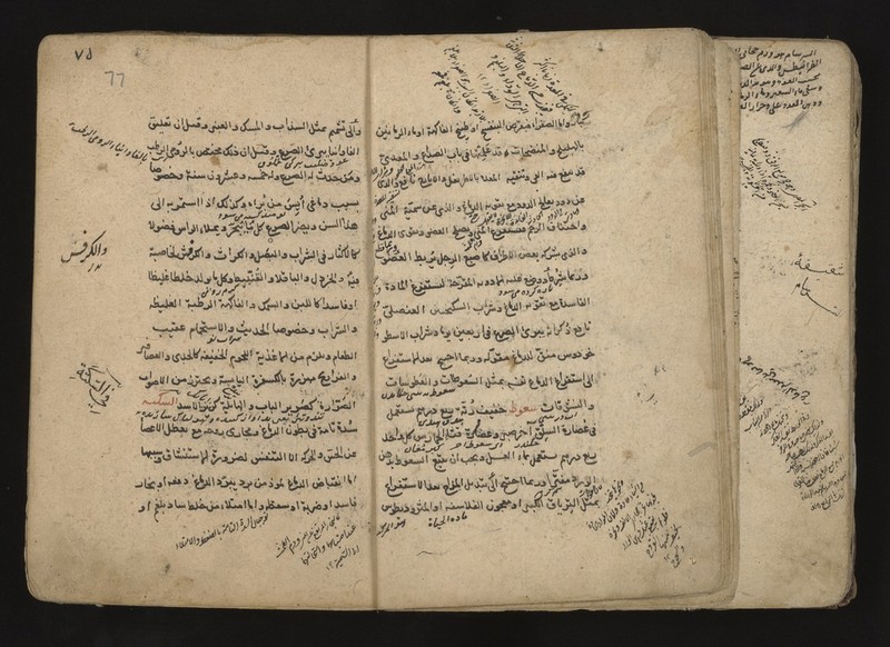 No text description is available for this image