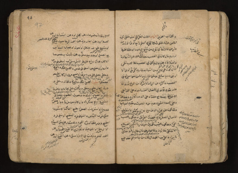 No text description is available for this image