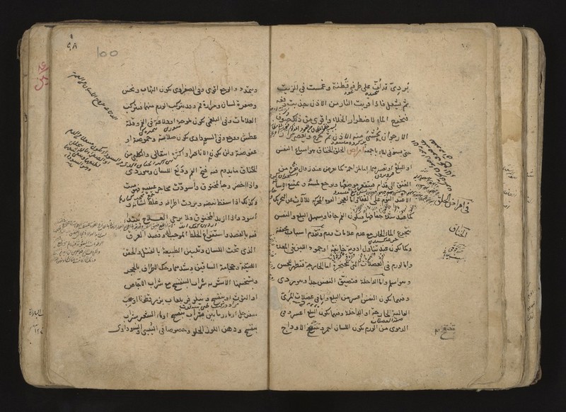 No text description is available for this image