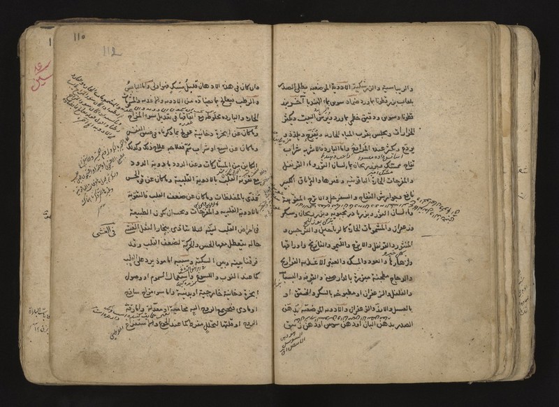 No text description is available for this image