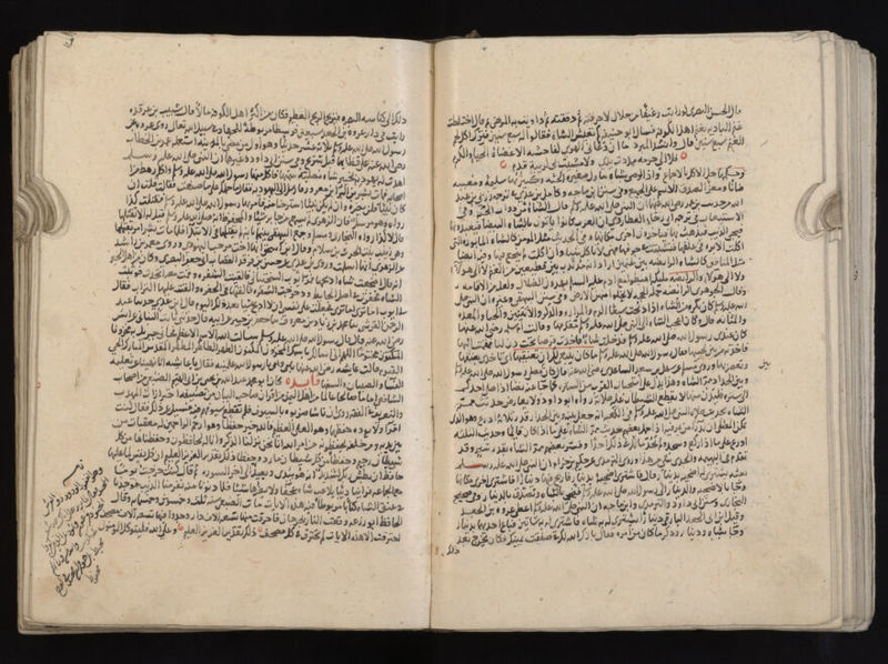 No text description is available for this image