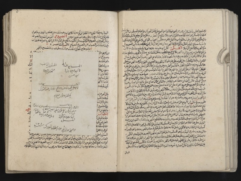 No text description is available for this image